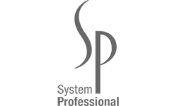 System Professional Logo